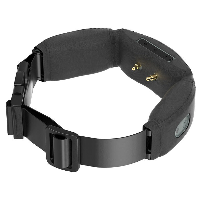 C10 Smart Pet Collar Health Monitor