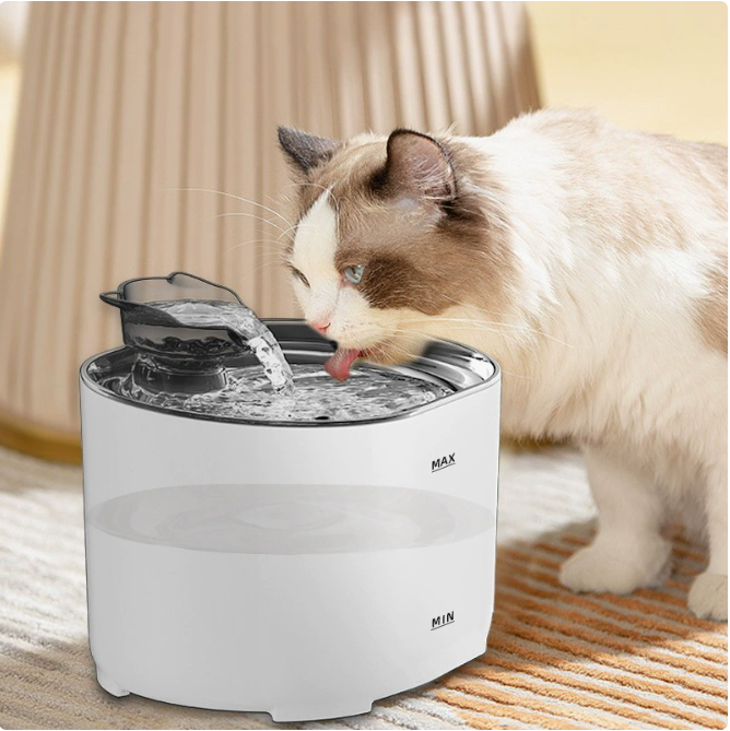 Pet USB Electric Water Feeder Lacks Water And Power