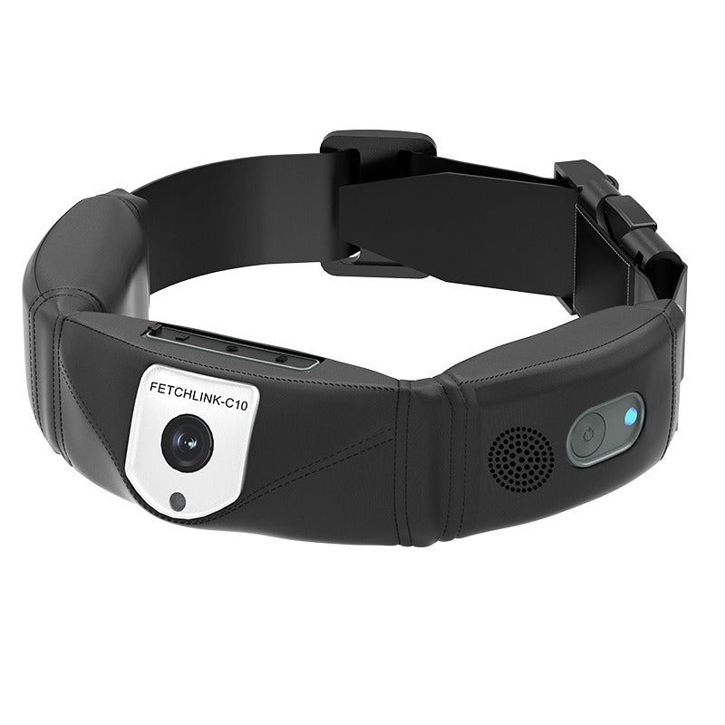 C10 Smart Pet Collar Health Monitor