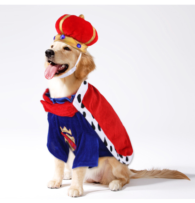 Pet King Cape Accessory Set for Dog