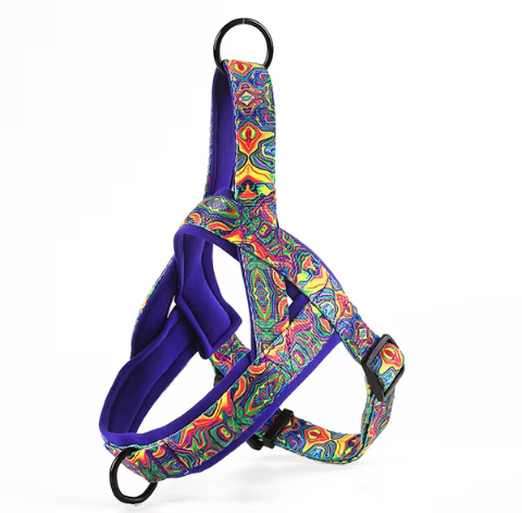 Dog Harness without the Leash
