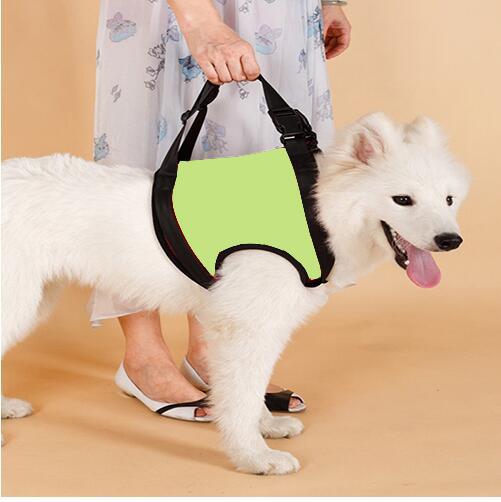 Elderly Dog Hind Leg Assist Belt for Pet Support