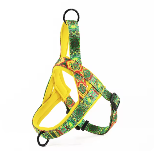 Dog Harness without the Leash