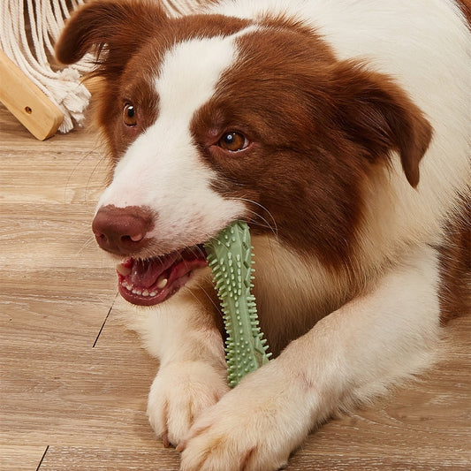 Dog Toothbrush Chew Toys for Teeth Cleaning and Fun