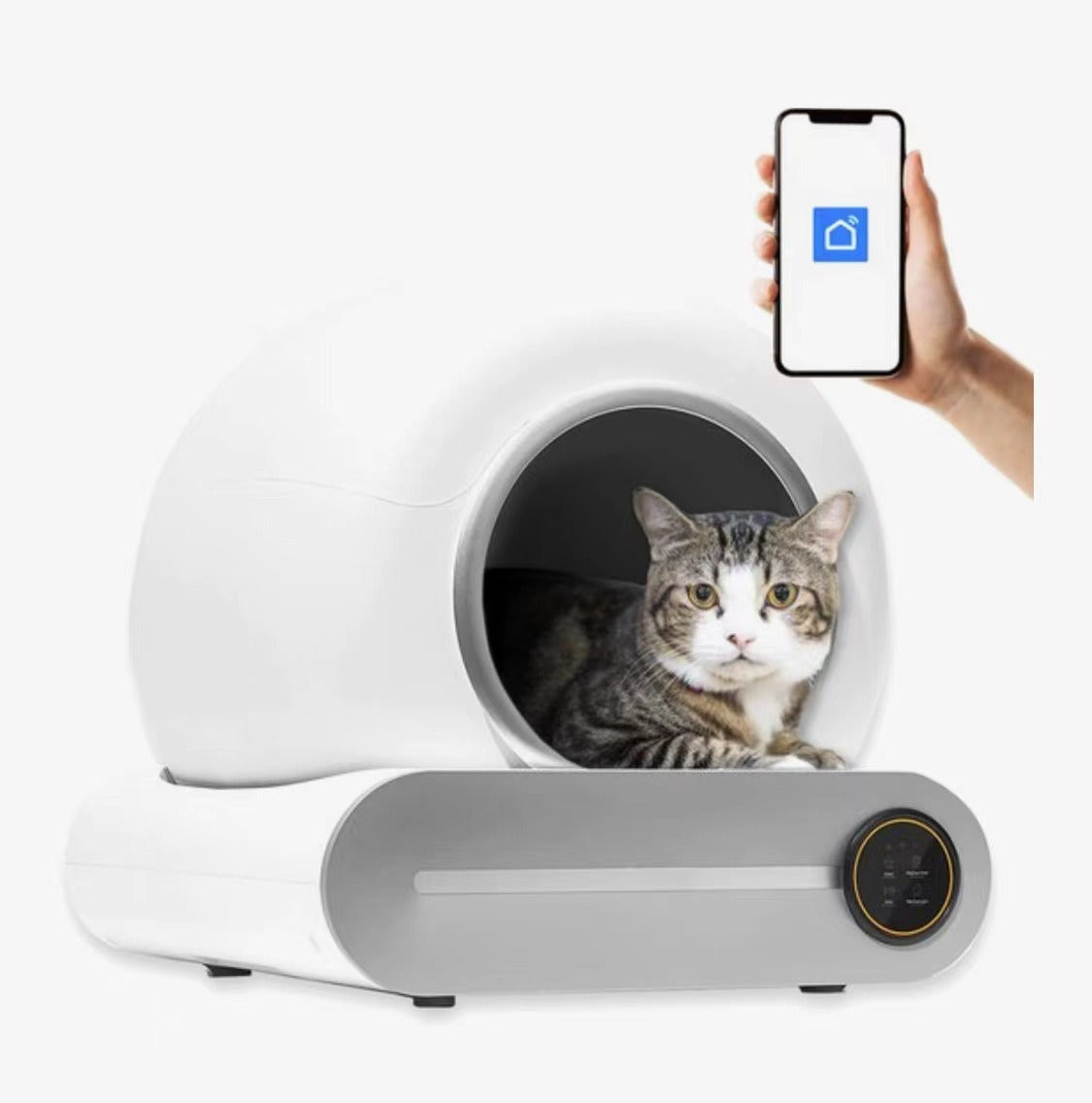 Automatic Smart Litter Box for Cats